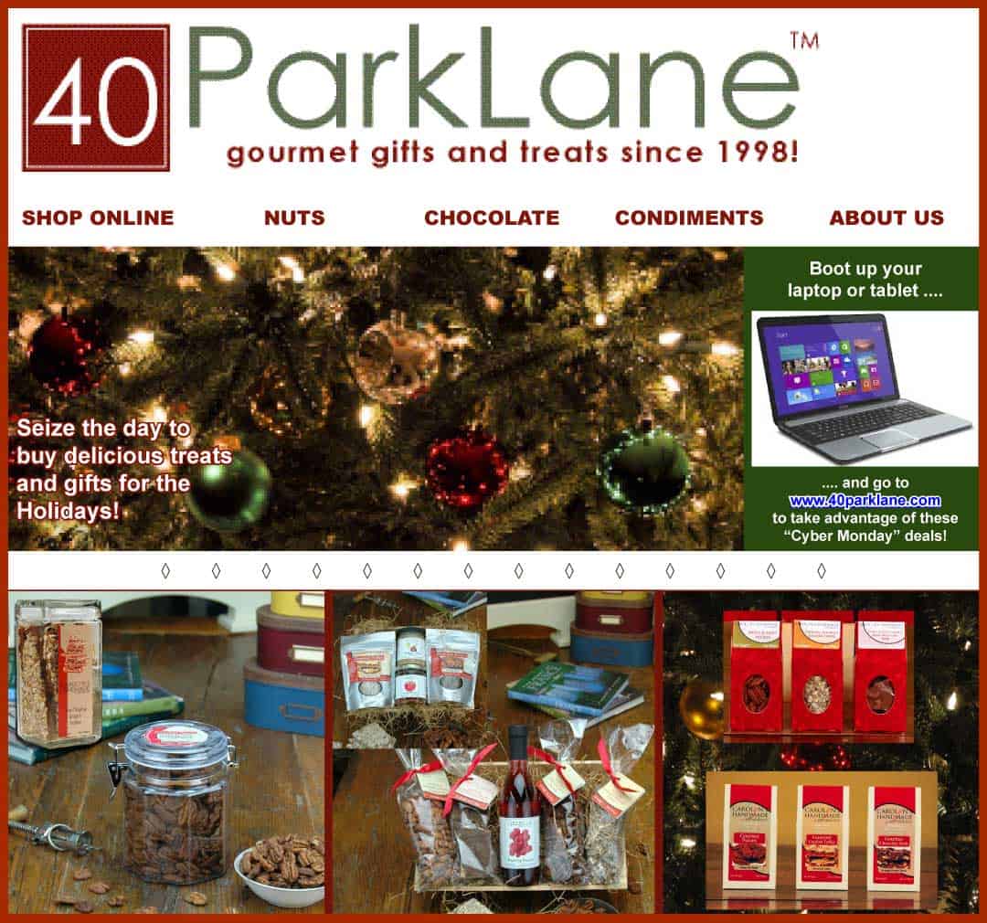 40ParkLane.com Web Design